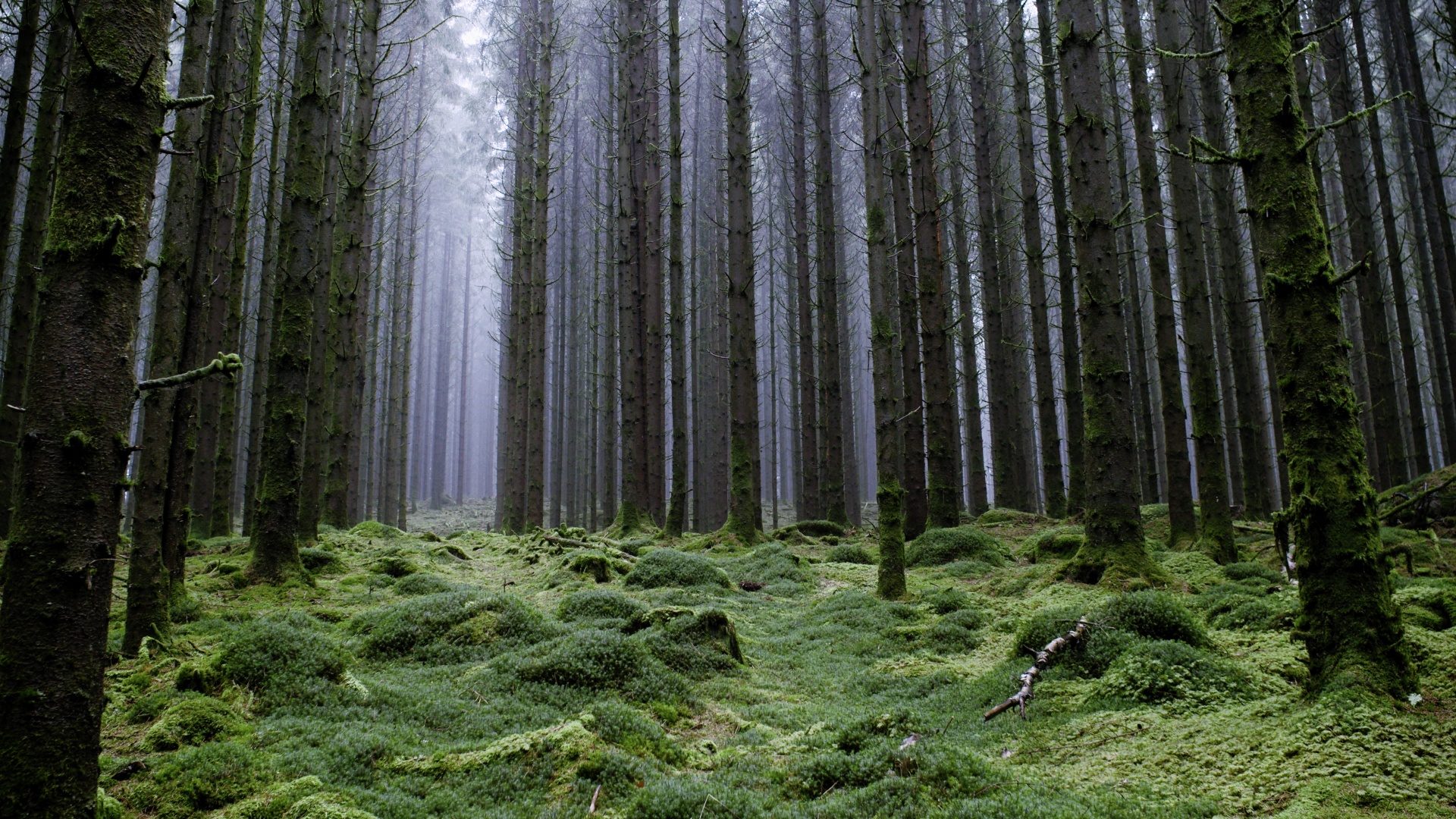 resized_Still 2026-03-01 133754_1.8.1